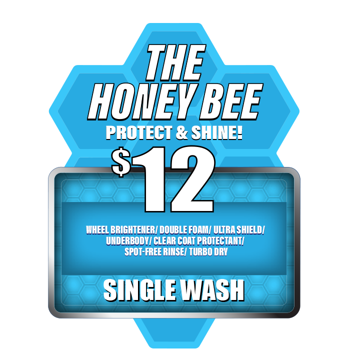 Single_Honey-Bee_700px